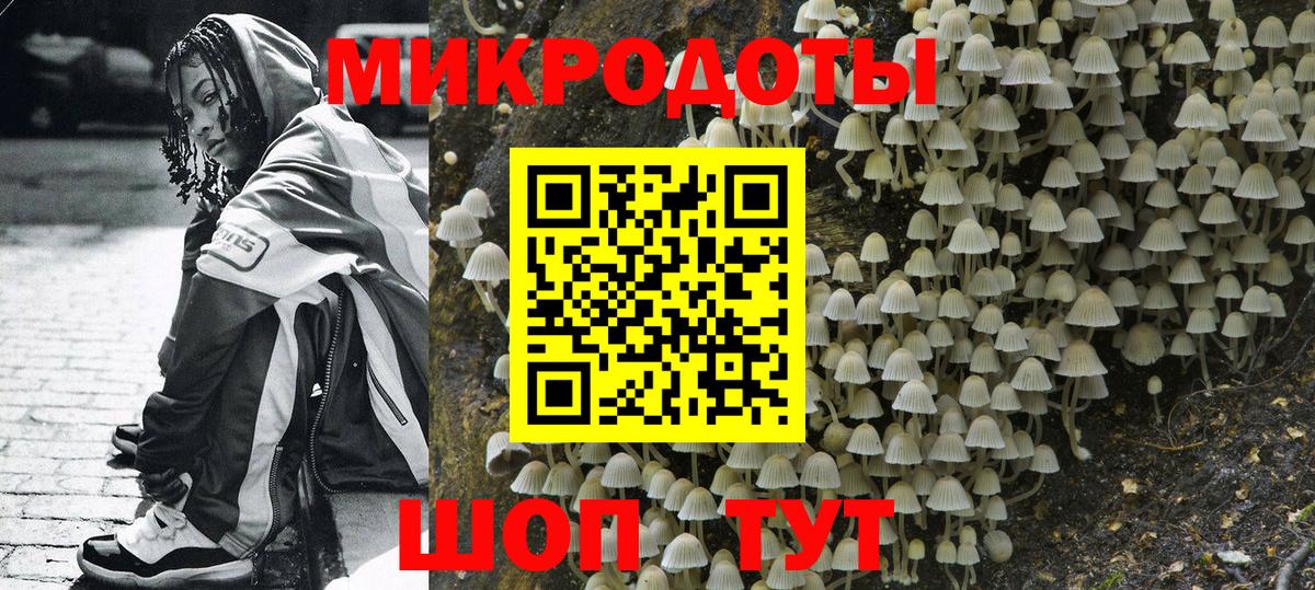 где можно купить   Псилоцибиновые грибы ЛСД  Вход с VPN  Бузулук  Псилоцибиновые грибы мицелий 