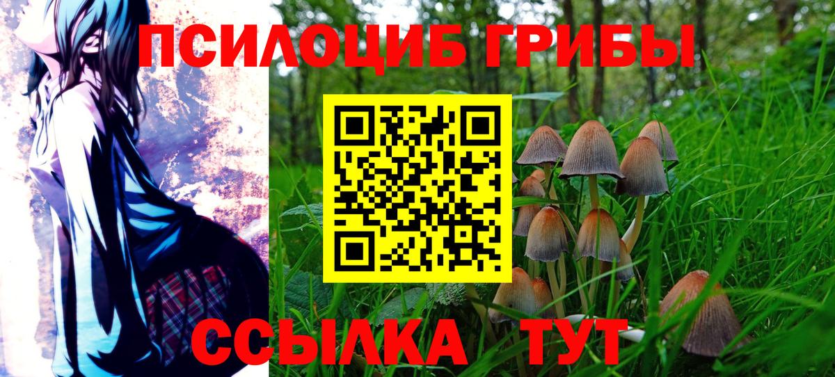 Галлюциногенные грибы Psilocybine cubensis Бузулук